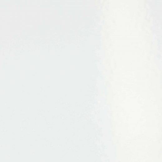 RAL 9016 Blanc signalisation Lisse mat / granité mat